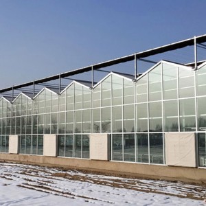 解析玻璃溫室大棚的優點及用途