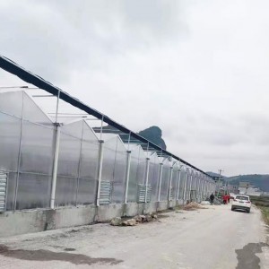 溫室大棚為什么要選用PC陽光板做覆蓋材料？