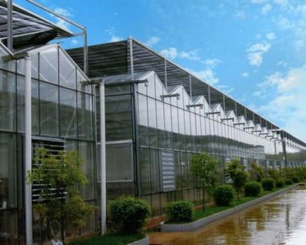 玻璃溫室