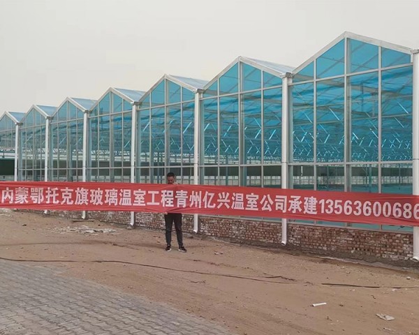 內(nèi)蒙鄂托克旗玻璃溫室